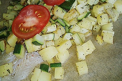 Pangasius aus dem Pergament 68