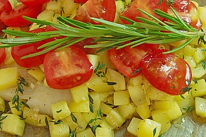 Pangasius aus dem Pergament 48