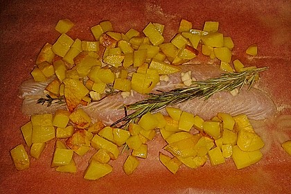 Pangasius aus dem Pergament 69