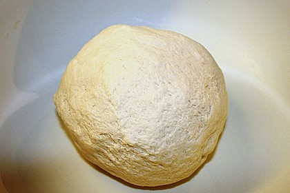 Pizzateig 19