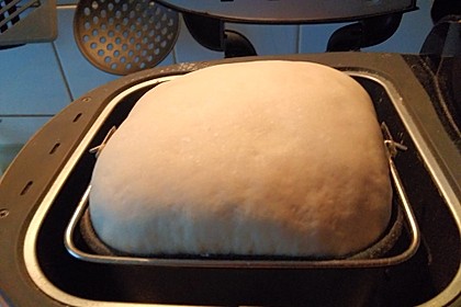 Pizzateig 16