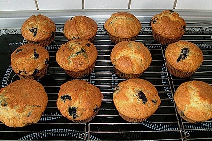 Mile high Blueberry Muffins 111