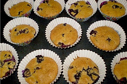 Mile high Blueberry Muffins 108