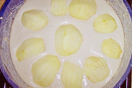 Apfelkuchen 8