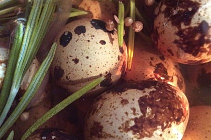 Eingelegte Eier mit Kräutern 5