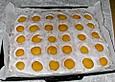 Aprikosen - Blechkuchen
