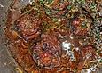 Ochsenschwanz gebraten, der garantiert zart wird