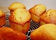 Kokos - Orangensaft - Muffins