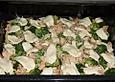 Nudel - Lachs - Brokkoli - Auflauf
