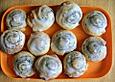 Nuss - Schnecken