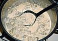 Geschnetzeltes mit Gouda - Sahne - Sauce