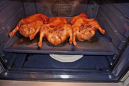 Ente nach der Niedrigtemperatur - Methode 28