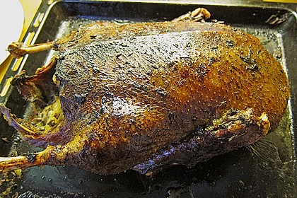 Ente nach der Niedrigtemperatur - Methode 30