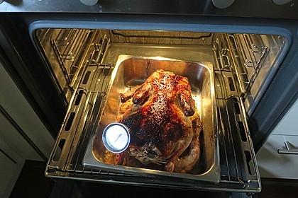 Ente nach der Niedrigtemperatur - Methode 22