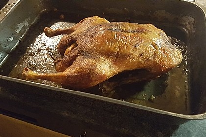 Ente nach der Niedrigtemperatur - Methode 20