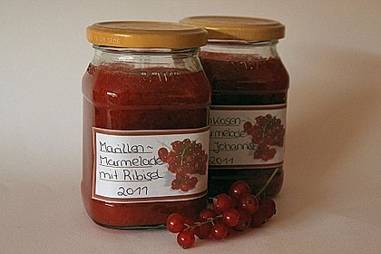 Aprikosenmarmelade mit roten Johannisbeeren 1