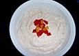Thunfischdip