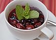 Panna Cotta mit Gl&uuml;hweinbeeren