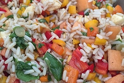 Italienischer Reis - Melonen - Salat 11