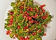 Feldsalat Rauenthaloise