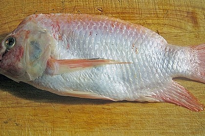 Tilapia - Pocketfisch mit exotischer F&uuml;llung