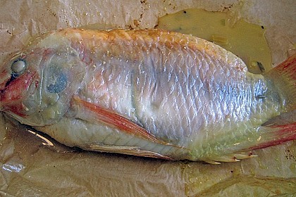 Tilapia - Pocketfisch mit exotischer F&uuml;llung 6