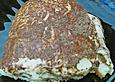 Tiramisu - schnell und super einfach