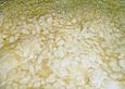 Bienenstich vom Blech mit F&uuml;llung