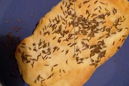Naan Brot 14