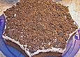 Hohenstaufener Kirschkuchen