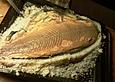 Lachs in Salzkruste