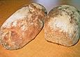 Outback Honey Wheat Bread