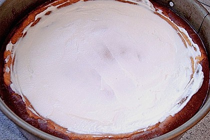 American Cheesecake 73