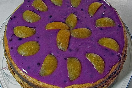 American Cheesecake 64