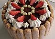 Erdbeer - Tiramisu - Torte