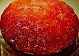 Lillis Rhabarberkuchen mit Philadelphiacreme