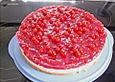 Johannisbeer - Gr&uuml;tze - Schmand - Torte