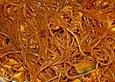 Feuriger Glasnudelsalat mit Huhn
