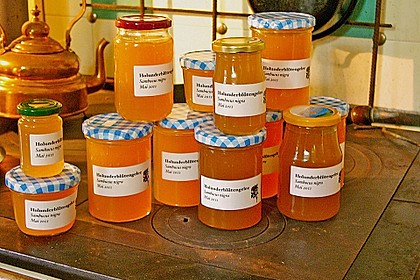 Holunderbl&uuml;tengelee 3