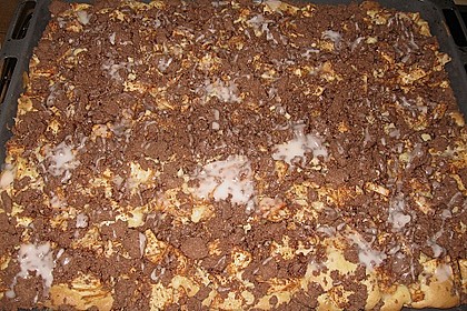 Apfelkuchen 15