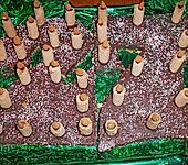 Geburtstagskuchen (Bild)