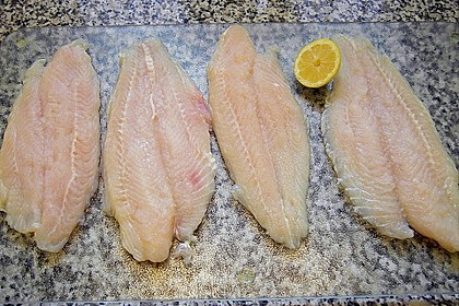 Pangasius mit Zitronen - Dill - Sauce 15