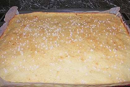 Johannisbeerkuchen mit Saure - Sahne - Guss vom Blech 8