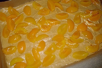 Lebkuchen - Schmand Schnitten 7