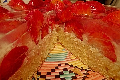 Erdbeerkuchen 15