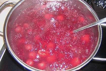 Rote Grütze 49