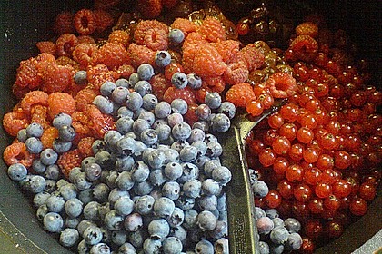 Rote Grütze 40