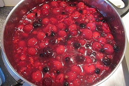 Rote Grütze 30
