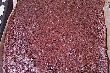 Schokoladen - Blechkuchen 17