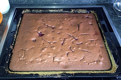 Schokoladen - Blechkuchen 9